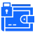 Card - Wallet Security Solutions