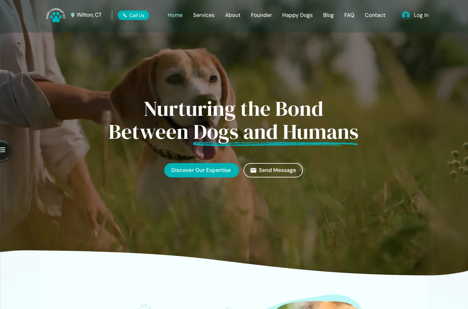 Website examples by Zero Dollar Website