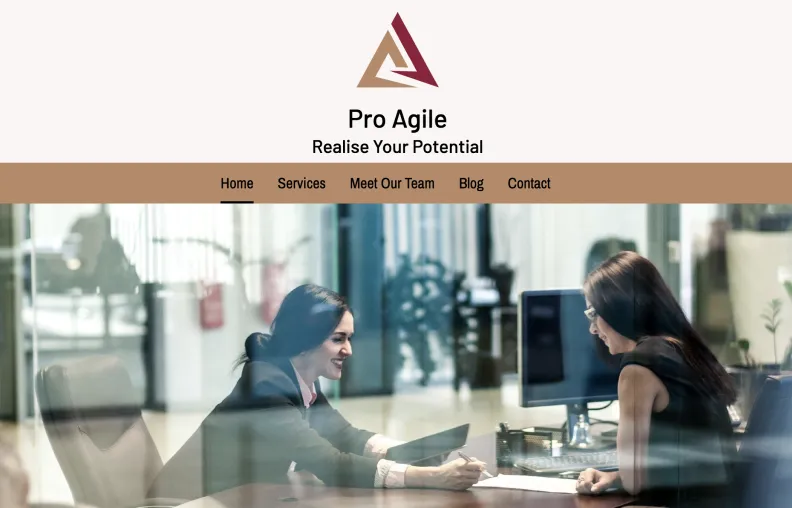 Website examples by Zero Dollar Website